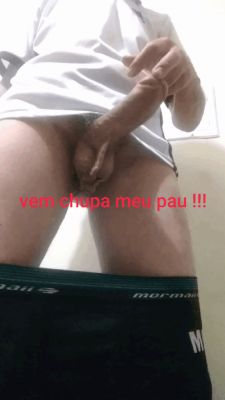 Meu pau